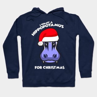 I Want A Hippopotamus For Christmas Hoodie